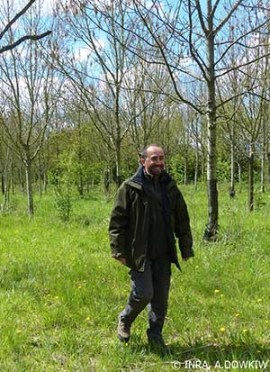 Arnaud Dowkiw
