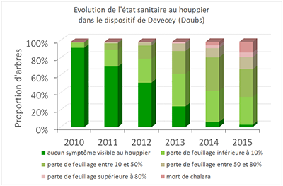 Evolution de la chalarose dans le dispositif INRA de Decevey